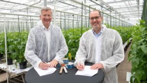 Bayer, Solynta Collaborate to Advance True Potato Seed in Kenya and India
