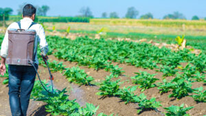 Equilibrio entre política, ciencia y comercio: PMFAI sobre el futuro del clorpirifos