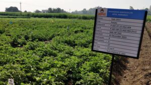 India: Deepak Fertilizers reduce el tiempo de análisis de datos en 70% con la plataforma de gestión de pruebas Agmatix
