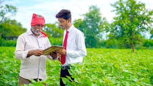 Asia Crop Protection Markets Poised for Renewal Amid Policy Shifts and Technification