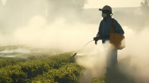 India: Chlorpyrifos Receives Specific Exemption for Production and Use