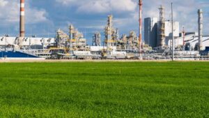 Indian Crop Protection Market: Key Trends Expected to Impact Development Over the Next 5 Years