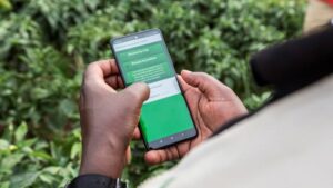How Digital Technology Is Helping Africa’s Smallholder Farmers Access Best Practices for Fertilizer