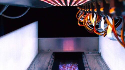 BioLumic Pioneers New Seed Traits with Seed Company Partners