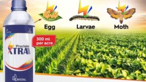 Crystal Crop Protection lanza el insecticida PROCLAIM XTRA para maíz y soja