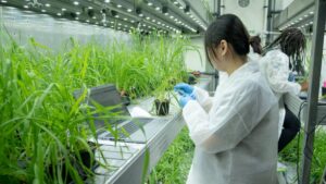 Catalera Series A Funding to Catalyze a New Era of Biological Pest Control