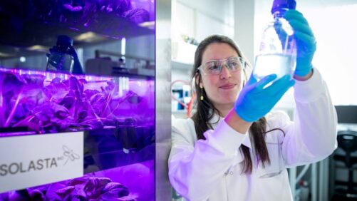 SOLASTA Bio conclui a série A $14M para acelerar a proteção de cultivos inspirada na natureza