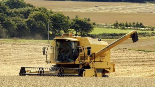 SugaROx Forms New R&D Partnership to Bring T6P Biostimulant to UK Market