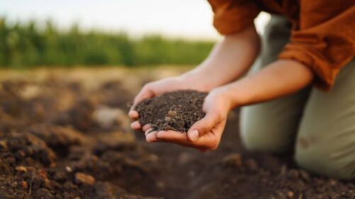 U.S.: Agoro Carbon Secures Flagship 12-Year Agreement to Deliver 2.6 Million Soil Carbon Removal Credits to Microsoft