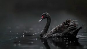 Black Swans 2025: A Year of Headwinds, Adaptation, and Preparedness for the Agribusiness Industry 