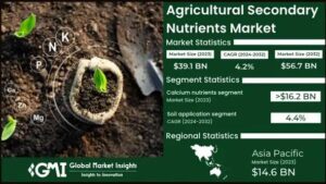 Mercado de nutrientes secundários agrícolas atingirá $56 bilhões até 2032: tendências e insights de crescimento
