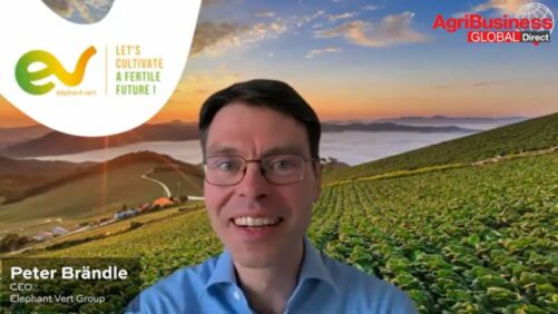 Elephant Vert CEO Peter Brändle Shares Tips for Biological Start-Ups and Doing Business in Africa