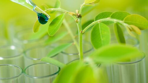 UE se esforça para acelerar aprovações de biocontrole — o progresso atenderá às expectativas para 2025?