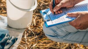 Adapting to Evolving Product Testing Protocols: U.S. and EU CROs in 2025