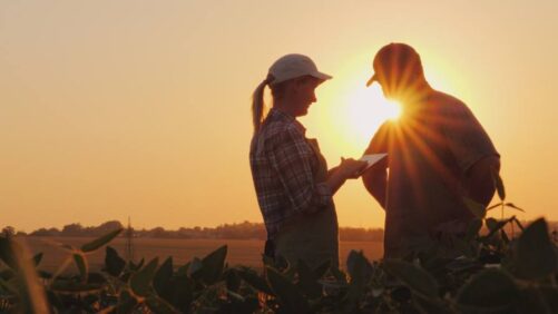 Bridging the Language Gap in Crop Protection