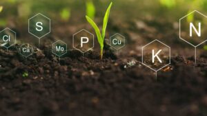 Navigating the U.S. and Canadian Biological Markets: Challenges and Strategies for Success