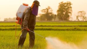 How Insecticides Are Shaping the Future of Agriculture