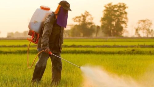 Como os inseticidas estão moldando o futuro da agricultura