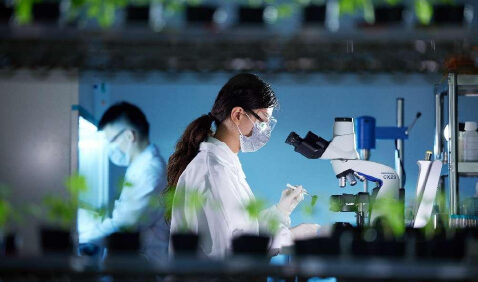 Experts Give Top Three Developments for China’s CROs in 2025