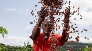 AgTech Pioneer and Farmerline CEO Appointed to Heifer International Board