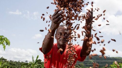 Pioneiro da AgTech e CEO da Farmerline nomeado para o Conselho da Heifer International
