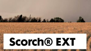 Nufarm’s Scorch EXT Receives 24(c) Registration in Colorado for Control of Kochia in Fallow