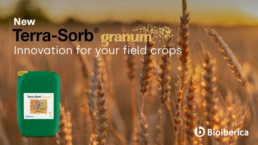 Bioiberica Launches Terra-Sorb Granum to Boost Field Crop Productivity