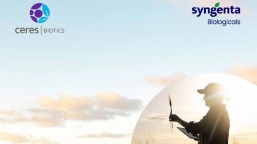 Syngenta and Ceres Biotics Form Global Biologicals Partnership