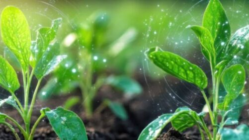 Tidal Grow AgriScience Expands Regenerative Agricultural Solutions into Canada
