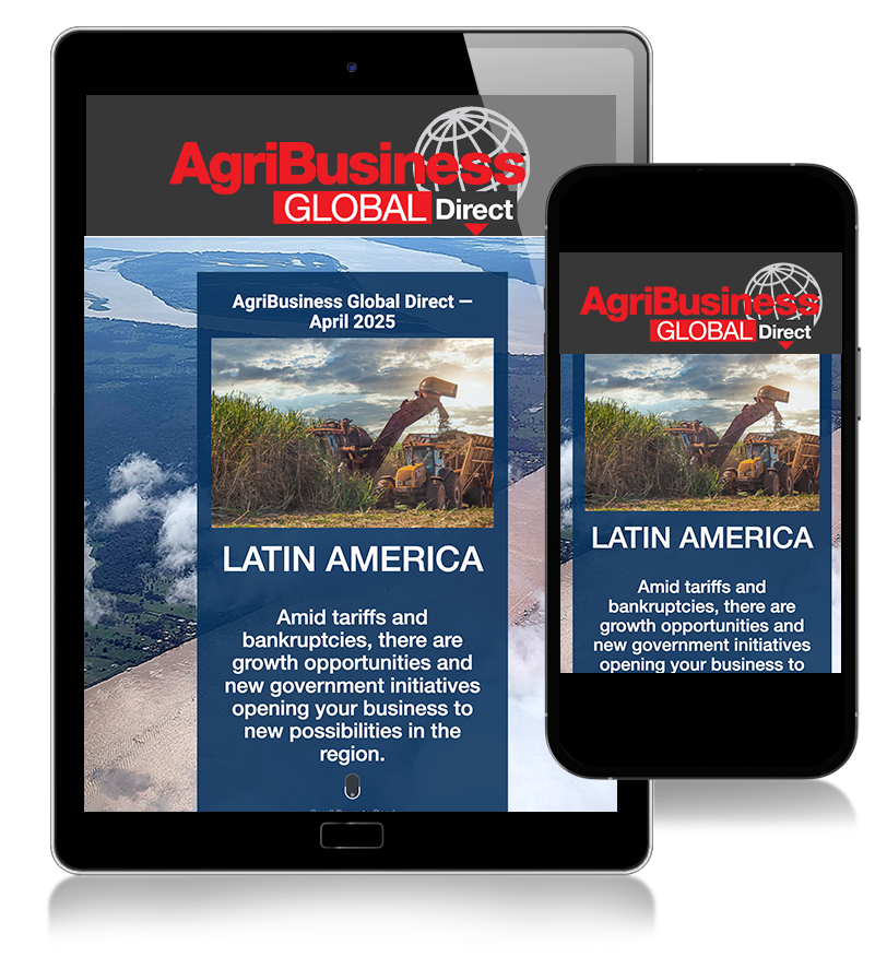 photo of a tablet and smartphone