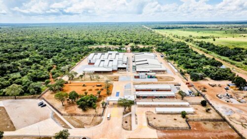 Bayer Opens Maize Seed Facility in Zambia to Support Food Security for about 30 Million People