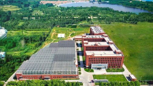 Nufarm and Chinese Biotech Company KingAgroot Partner on New Herbicide