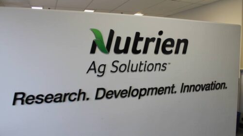 Nutrien: Big Company, Big Plans