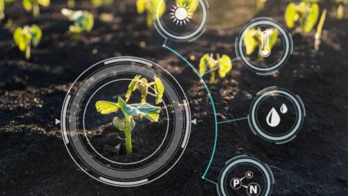 ¿Cómo afectará la tecnología agrícola al crecimiento de los productos biológicos?