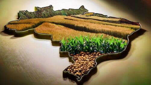 Mergers and Acquisitions: The Prominence of Brazil