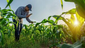Navegando el panorama regulatorio y de investigación para las CRO en América Latina