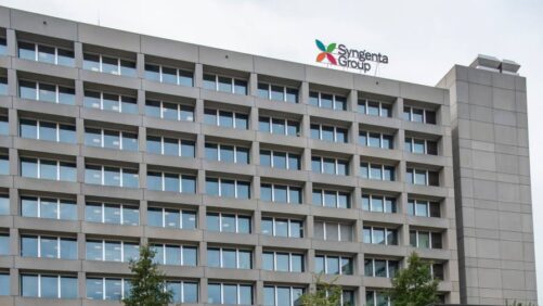 Resultados del primer trimestre de 2025 de Syngenta: Un sólido desempeño en ventas de protección de cultivos es uno de los puntos clave.