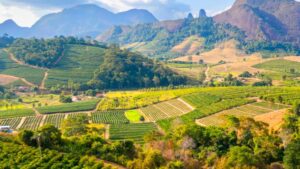 LATAM Regulatory Shifts and Their Impact on Agriculture