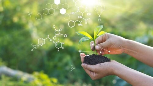 Bionema Leads £961,000 Biofilm Biofertilizer Project to Tackle Global Fertilizer Crisis with UK-Made, Sustainable Solution