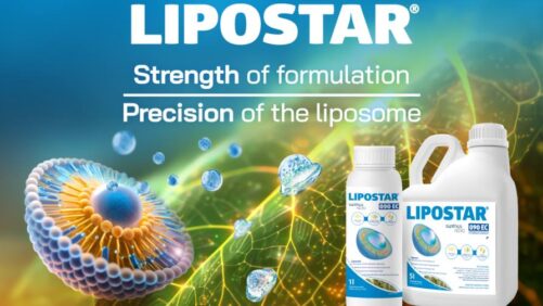 UE: Synthos Agro lança novo fungicida com tecnologia lipossomal