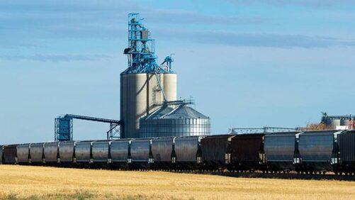 México pronto para se tornar o principal destino das exportações agrícolas dos EUA
