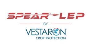 葡萄牙批准Vestaron生物杀虫剂紧急使用，保护高价值番茄作物免受毁灭性害虫的侵害