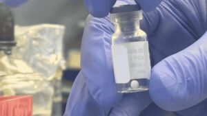 How Futureco Bioscience’s NOFLY Changes the Rules of Quality Control in Biological Insecticides