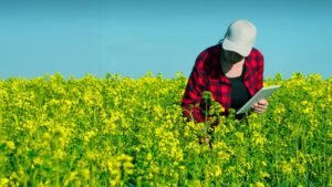 CRO Challenges and Opportunities in Latin America