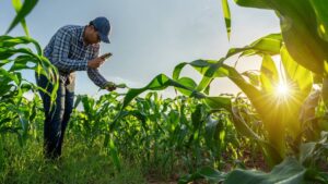 SynTech Research Expands in Americas with AgIdea Integration