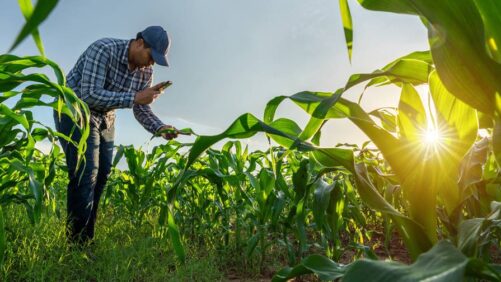 Biologicals Data That Talks to Ag Retailers