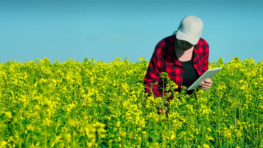 CRO Challenges and Opportunities in Latin America