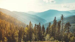 Croda Strengthens Commitment to Help Customers Decarbonize With Updated Science-Based Targets