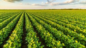 Consolidation and Innovation: How M&A Is Reshaping U.S. Crop Protection and Seed