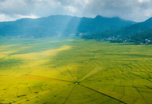 Top Growth Drivers in the Biologicals Market Over the Next Decade